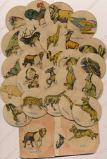 Tessere da gioco tombola degli animali