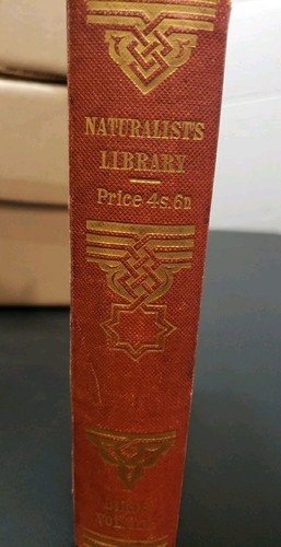 Antique naturalist library - naturalist's,