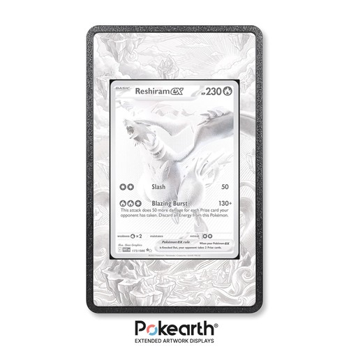 Reshiram 173 086 custodia - ex,