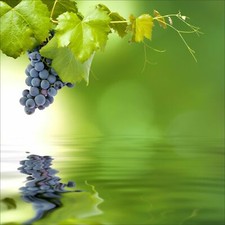 QUADRI MODERNI 80X80 CM VINO