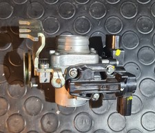 Corpo Farfallato Iniezione