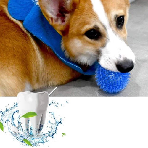 Pet dog toys cat puppy - dog,