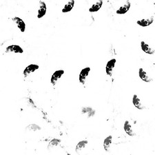 Monolithe Noir - Moira (LP)