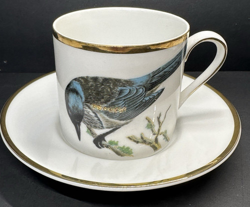 Berkeley house scrub jay - scrub,
