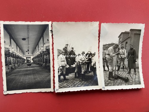 Foto seconda guerra - foto,,
