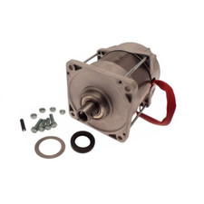 Gruppo Motore - Frog-m24 Came 119ria025 Automazione Automatismi Originale