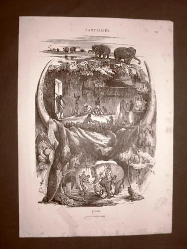 Ivoire avorio degli - o,
