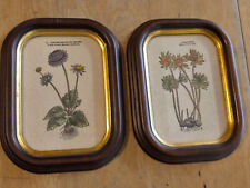 N.2 QUADRI QUADRETTI CORNICI VINTAGE CON STAMPA - LEGNO ORO