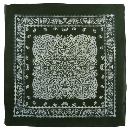 Bandana montana paisley - xl,