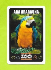 Carte Une saison au zoo - Ara