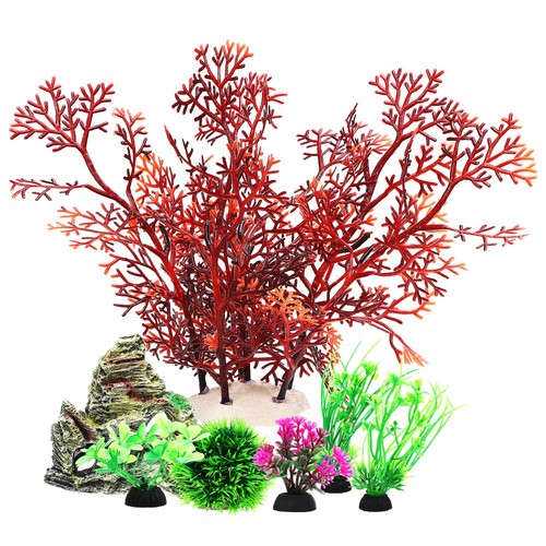 Pcs piante per acquario - 7,