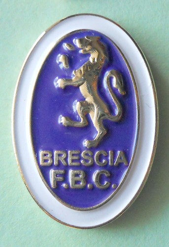 Distintivo spilla pin - distintivo, badge