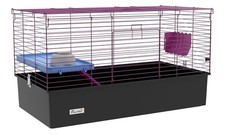 gabbia per porcellini d'india