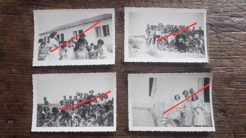 Lotto fotografie sardegna - n.,