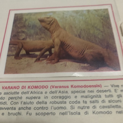 Figurina animali ed - n.,