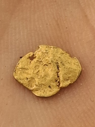 Pepita oro italiana - pepita,