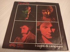 45 giri I Cugini di Campagna -