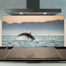 Cucina Splashback Vetro
