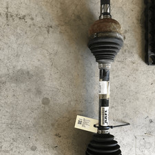13335135 Semialbero ant