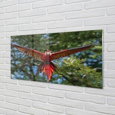 Quadro Tulup Stampa Acrilica
