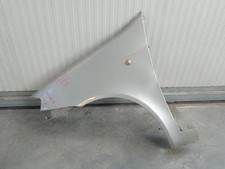 46849395 parafango anteriore