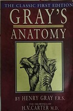 GRAY'S ANATOMY THE CLASSIC