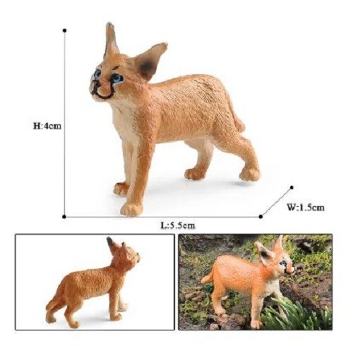 Mini gatto caracal piedi - mini,