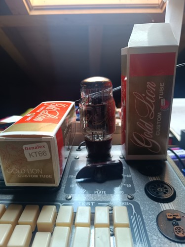 Gold lion kt66 valvole - lion, kt66,