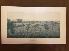 Messidoro Quadro di Guglielmo