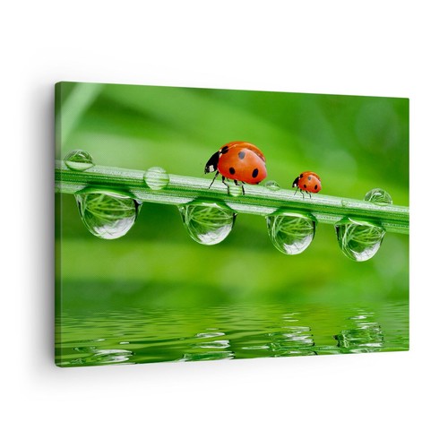 Quadro tela 70x50cm - quadro, su