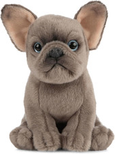 Cucciolo Di Bulldog Francese