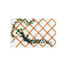 C TRALICCIO IN CANNA DI BAMBOO