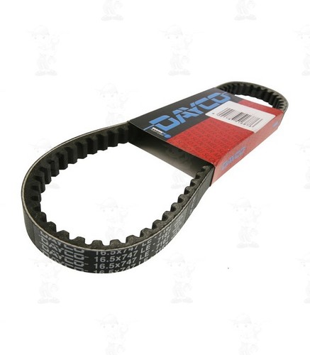 Cinghia trasmissione dayco - cinghia,
