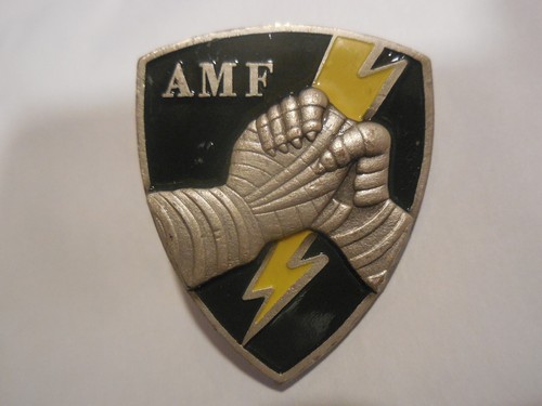 Distintivo spilla grande - , amf