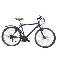 BICICLETTA BIANCHI MTB MOUNTAIN BIKE RAMPICHINO ANNI 90