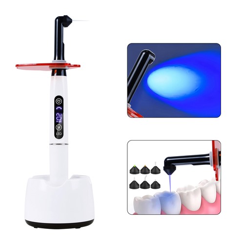 Dentista dentale dental - dentista,