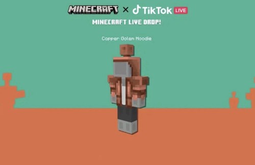 Minecraft java bedrock - minecraft,