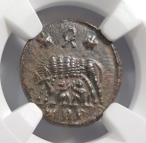 Gemelli lupo costantino ngc - i,