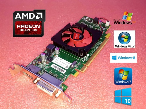 Scheda video dell optiplex 780 - video,
