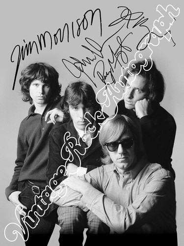 The doors jim morrison - the,