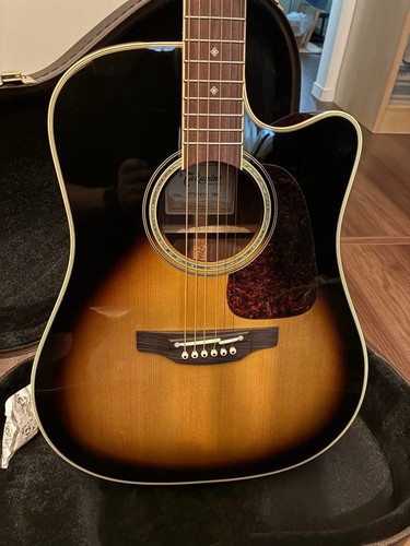Chitarra elettrica acustica