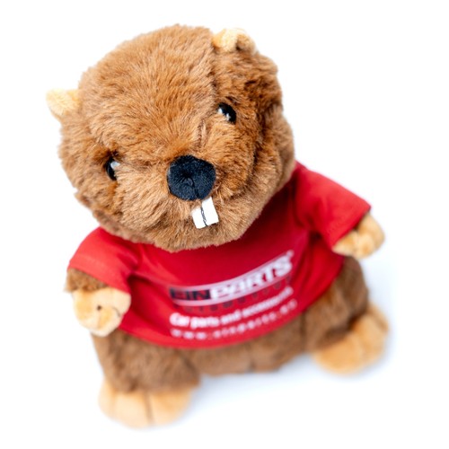Castoro einparts mascotte auto - einparts,