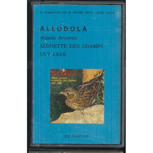 Allodola mc7 dal - dal, della