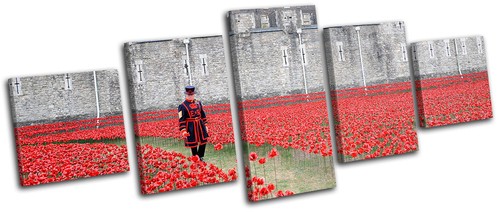 Tower london poppies city - of,