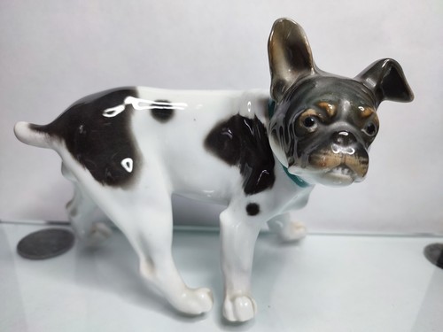 Karl ens bellissimo bulldog - karl,