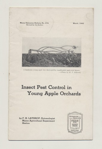 Insect pest control - insect,