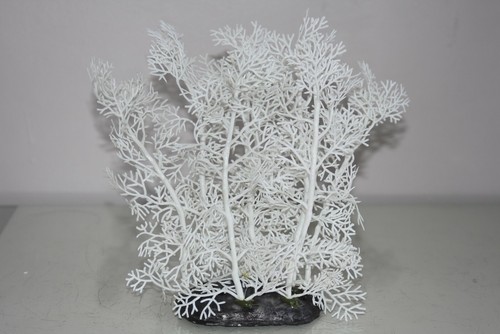 Acquario bianco corallo felce - bianco,