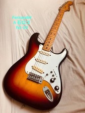Chitarra elettrica fernandes