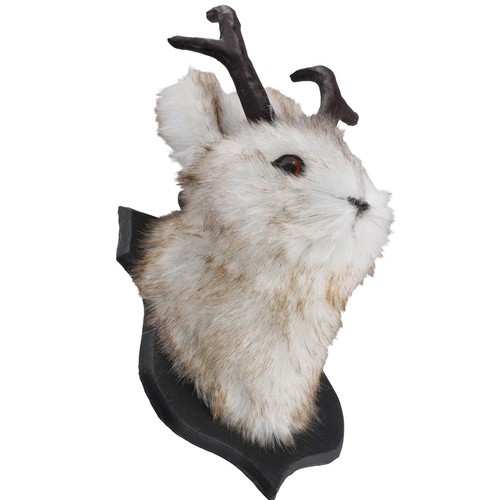 Regalo pasqua teste di - di,