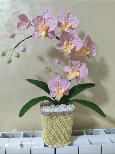 Orchidee all uncinetto - orchidee, all'uncinetto
